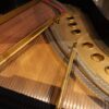 Steinway M Ebony