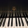 Steinway M ebony 3