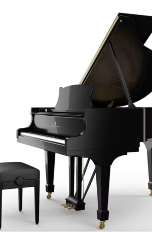 Steinway S