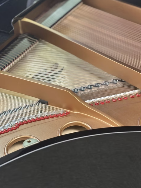 Screenshot 2026-01-07 at 12.55.04 PM Screenshot 2026-01-07 at 12.55.04 PM